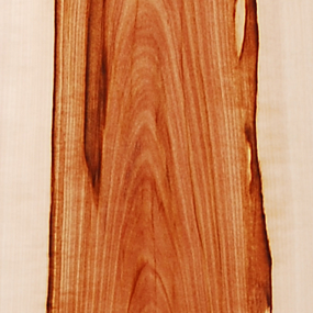 Wild Apple Tree - Custom Wooden Veneer Skateboard